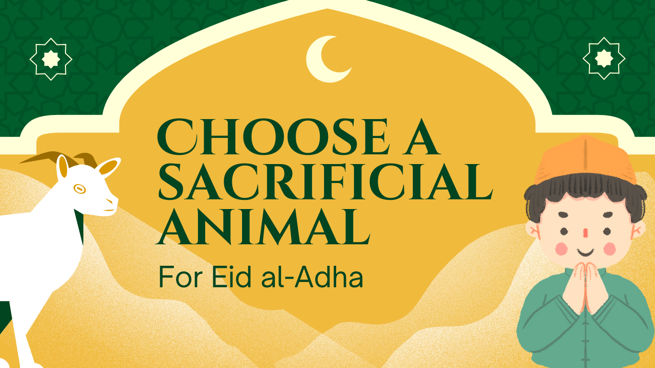 Surat Al-Baqarah: The Cow - Islamic Guidance and Wisdom