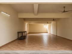 High-Yield Pre-Leased Shed Investment Opportunity in Sector 83 3