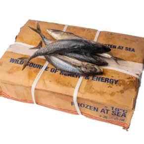 Box of Croacker fish