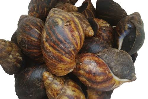 Badhakopi (Cabbage)