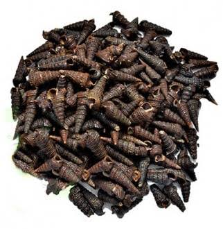 Badhakopi (Cabbage)