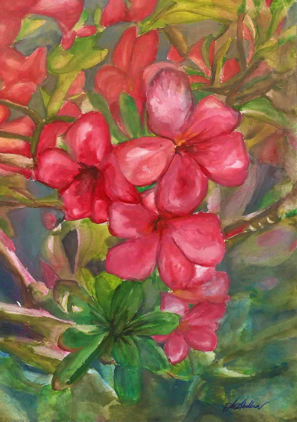 Pink flowers with sturdy leaves that are common in Filipino neighborhood gardens.