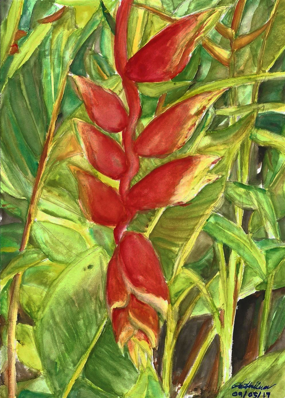 Vibrant chains of leaves akin to lobster claws.