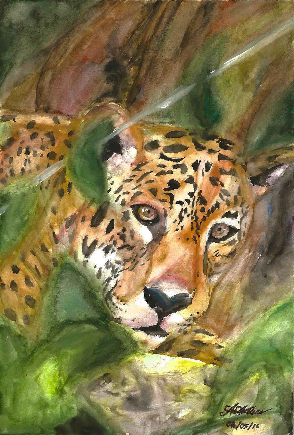 A cheetah appears behind a bush, elements replicating camera focus and blurs.