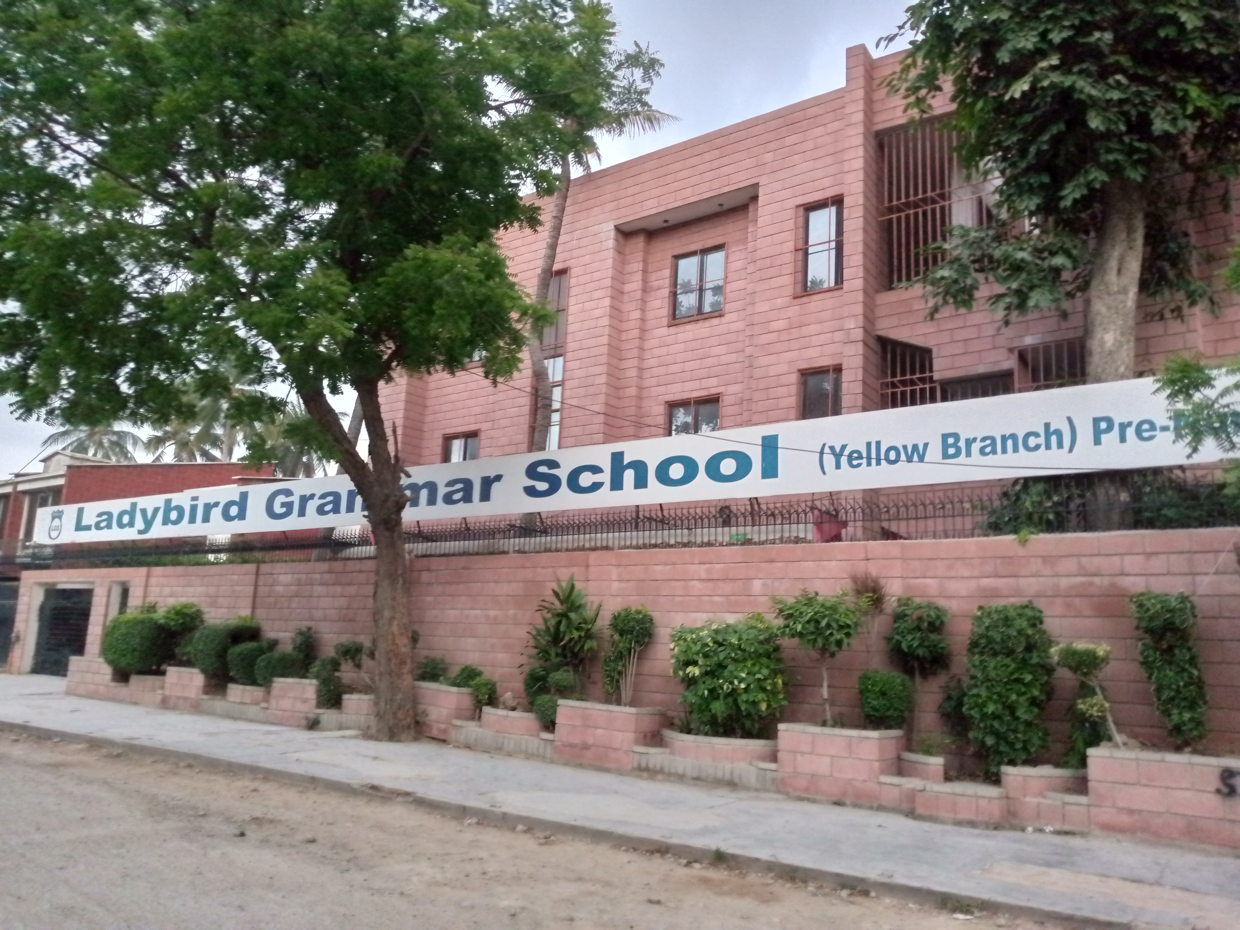 Ladybird Grammar School Yellow