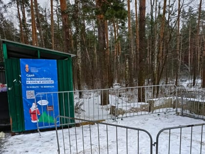 Для приема новогодних елок на вторичную переработку в Люберцах организуют 15 пунктов