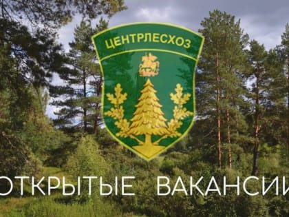 Внимание: набор сотрудников для укомплектования лесопожарных станций!