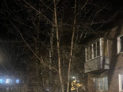Обсуждение проблем благоустройства в Коломне