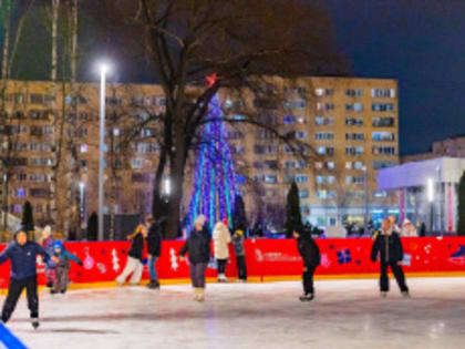 В Лобненском парке появится новое кафе и панда-парк
