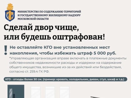 Нарушителей чистоты в Королёве найдут при помощи нейросети