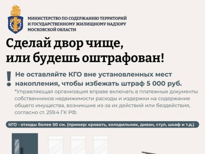 В Подмосковье ввели новый алгоритм выявления нарушителей чистоты и порядка во дворах