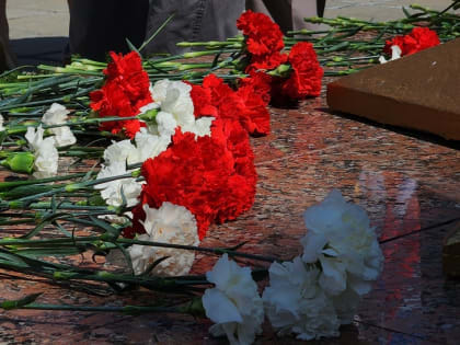 Новые инициативы по улучшению экологии в Подмосковье