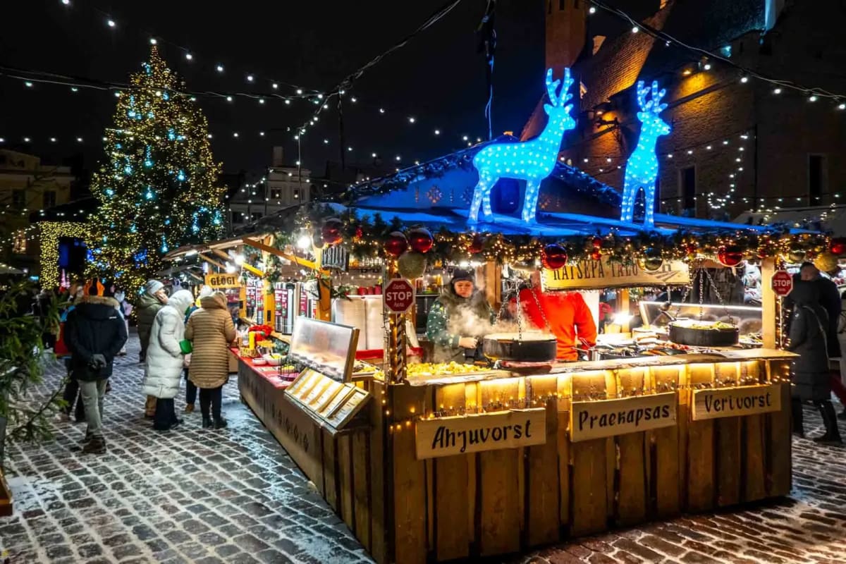 Різдвяний тур "У пошуках Санти" 8 днів