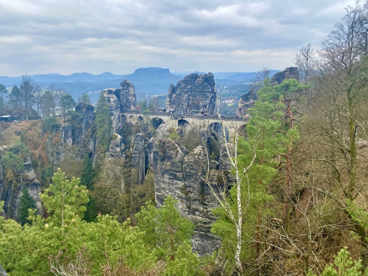 Богемія + Саксонія 