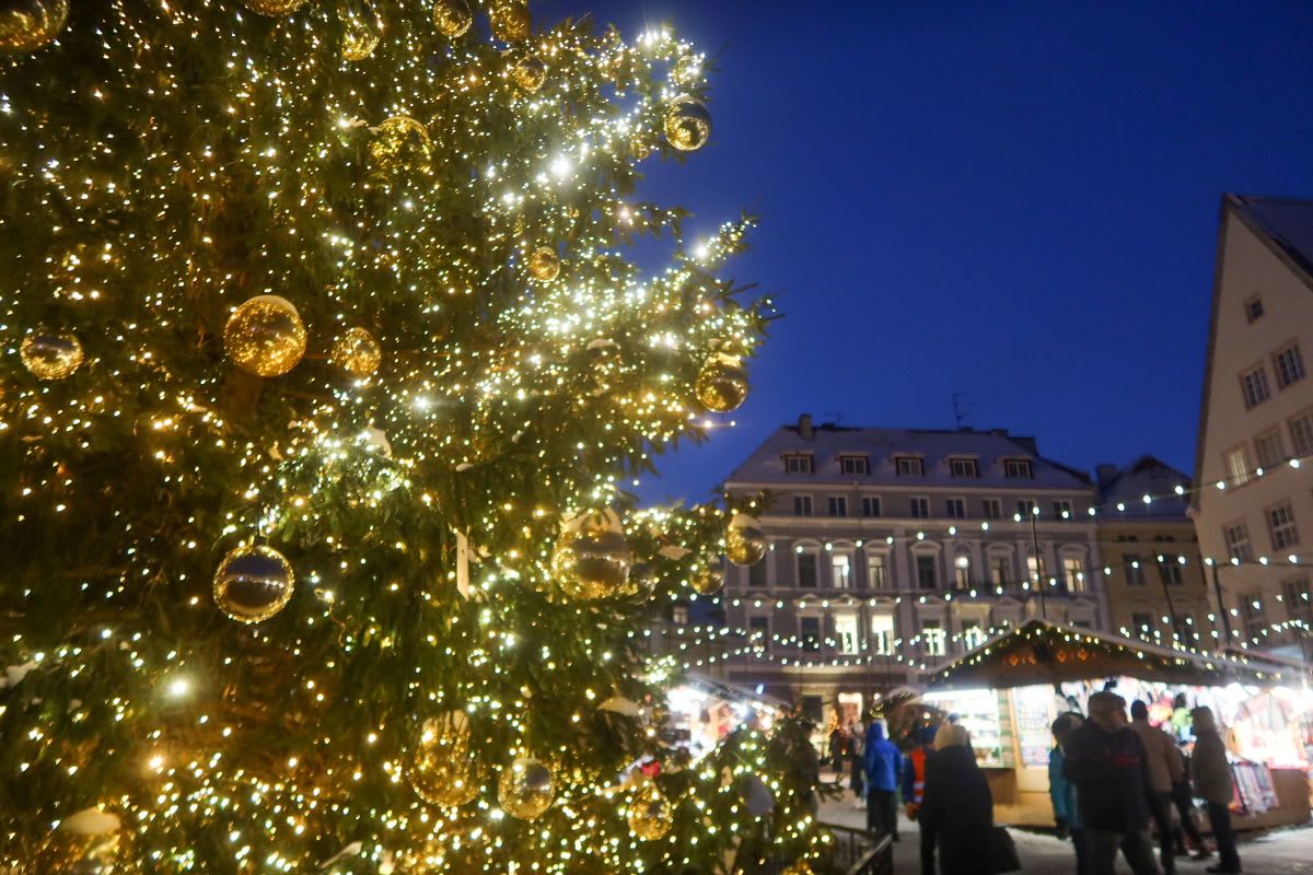 Різдвяний тур "У пошуках Санти" 8 днів
