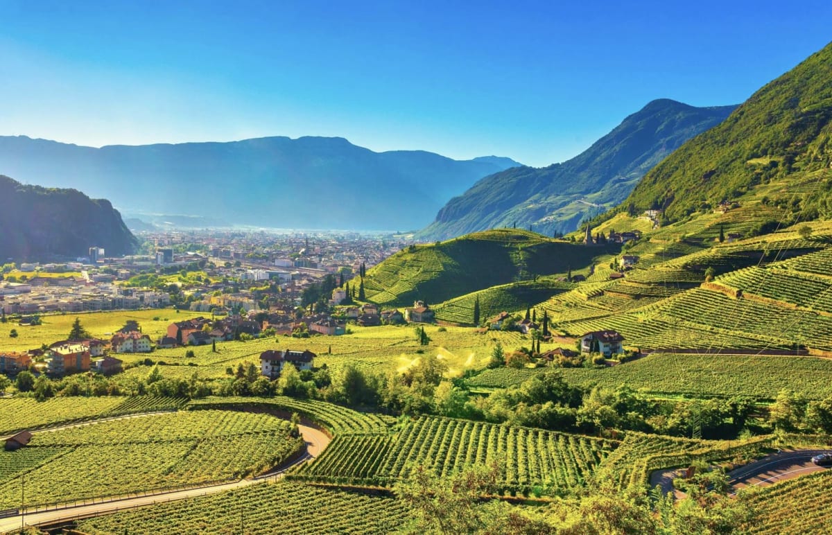 Доломітові Альпи, Ватикан, Рим, Флоренція та Венеція