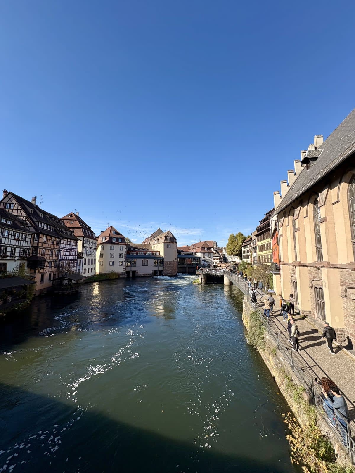 Швейцарія + Ельзас + Гальштат