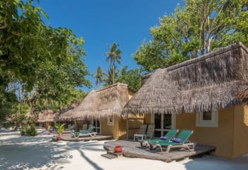 Фото  Bungalow