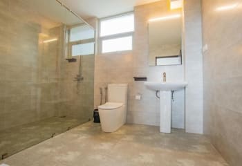 Фото Standart
