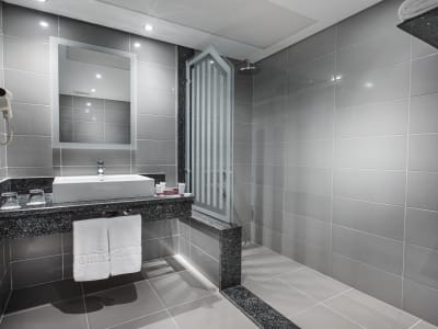 Фото Premium GV/SV