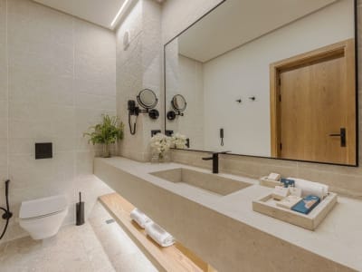 Фото Deluxe Room GV/PV 