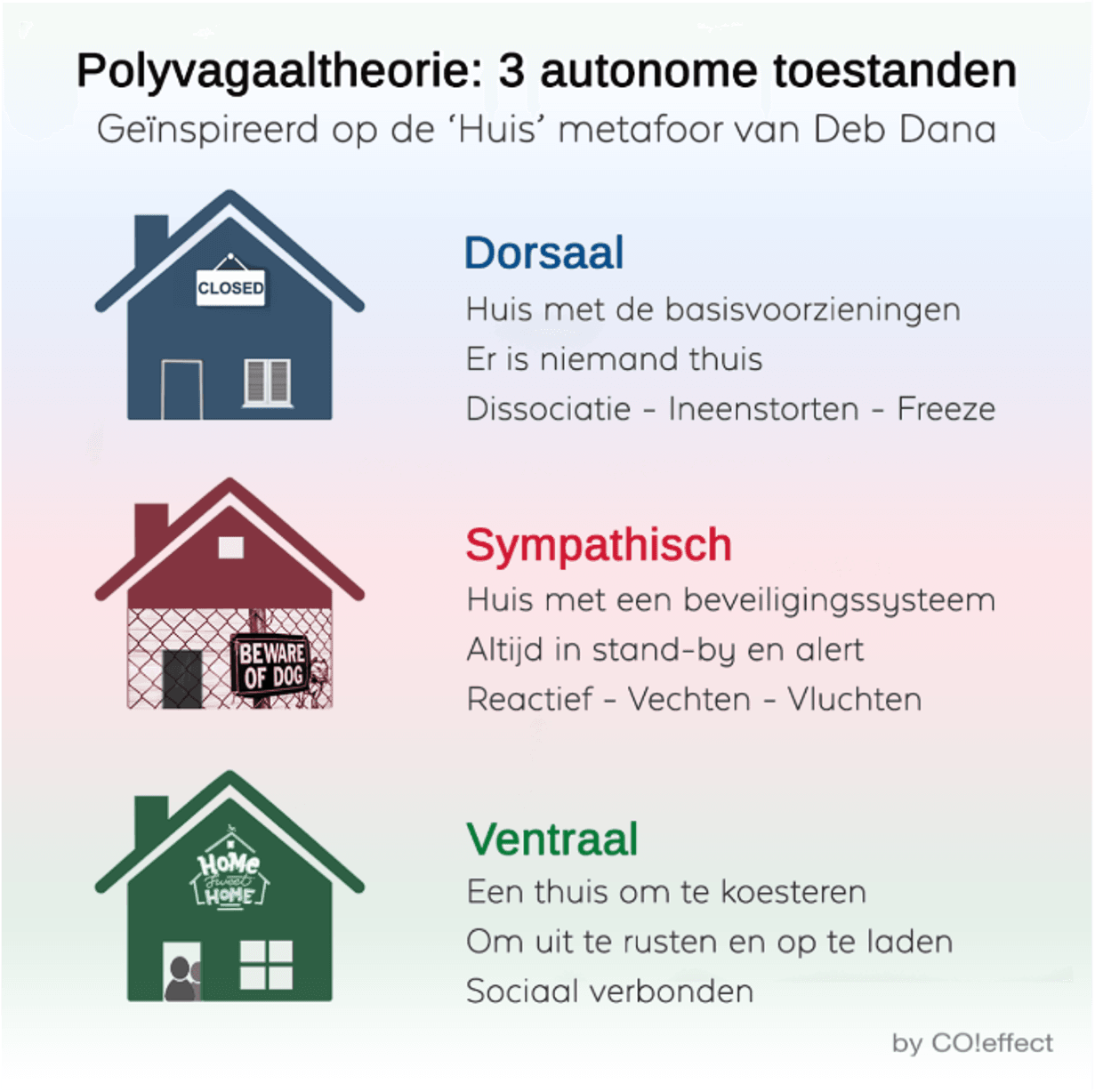 polyvagaaltheorie-huis-metafoor