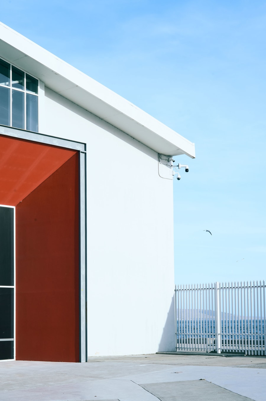 Minimal colour photograph of a white building with a deep red doorway and security cameras under the eave, a gull in flight against a clear blue sky.