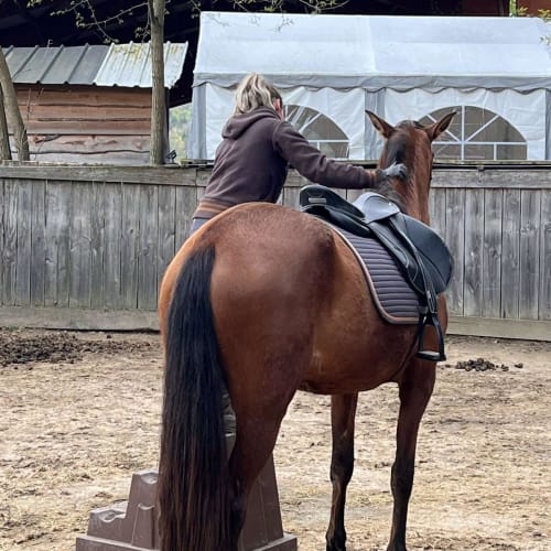 Débourrage montoir de jument Mélicia