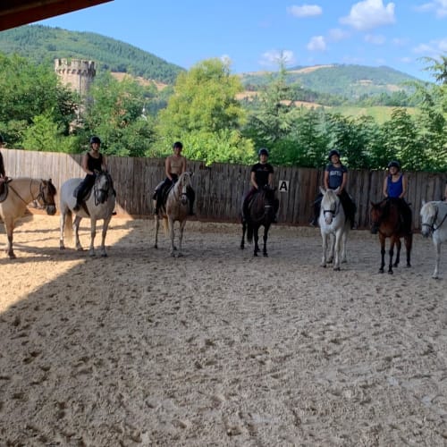 Cours collectifs d’équitation