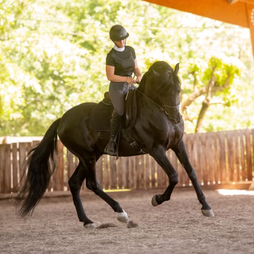 Angélique sur l'étalon Donlisto