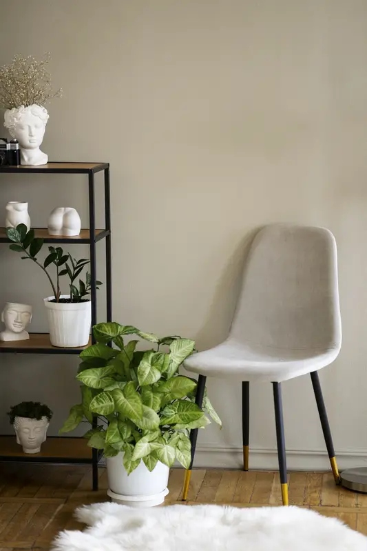 diseño_complementario