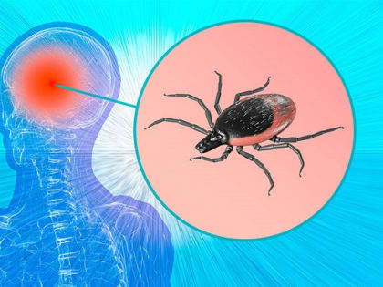 Сезон активности клещей близко: жителям Татарстана дали рекомендации по защите