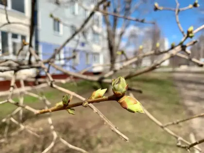 Какой будет весна в&nbsp;Татарстане&nbsp;— прогноз синоптиков