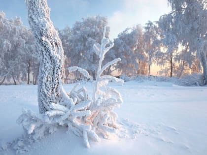 Экстремальный 45-градусный мороз зафиксировали жители одного из районов Татарстана