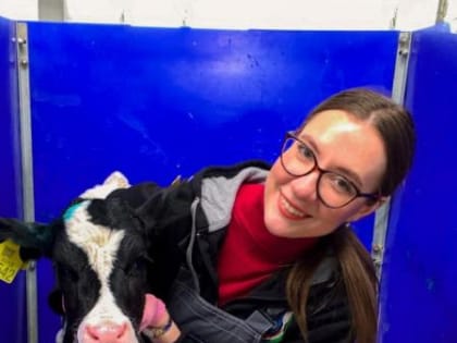 Почему мы теряем телят, и как повысить сохранность молодняка?