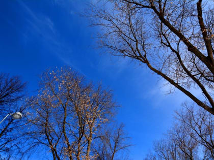 Потепление до +6 градусов принесет в Татарстан последняя пятница марта