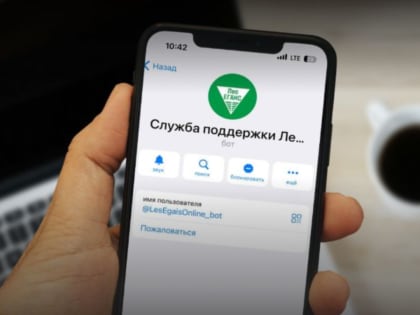 Рослесхоз: с начала года в чат-бот ЛесЕГАИС поступило более 3 тысяч обращений