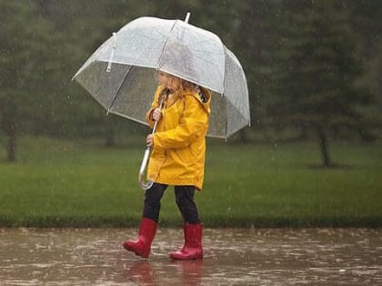 Метеорологи рассказали, когда закончится адова жара: новый прогноз