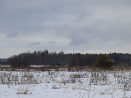 В праздничную субботу в Лаишевском районе ждут метель и усиление ветра