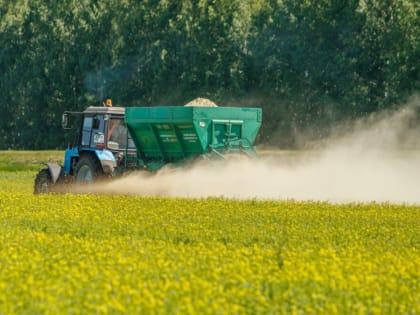 Энтомофаги против капустной моли на посевах рапса