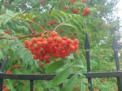 Погода в Татарстане 25 октября