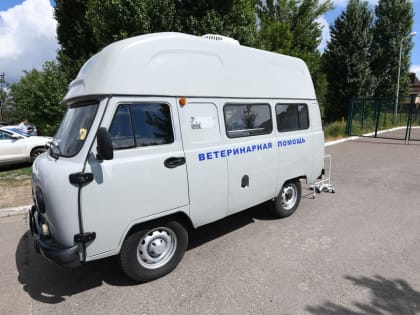 Жители поселков Кировского и Московского районов смогут бесплатно привить домашних питомцев от бешенства