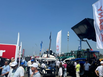 В Казани открылась выставка 