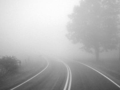 Туман в Казани: Прогноз на 8 сентября 2024 года