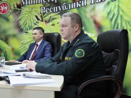 В Совете Федерации рассмотрели вопросы правоприменительной практики в сфере разделения лесной охраны и надзора