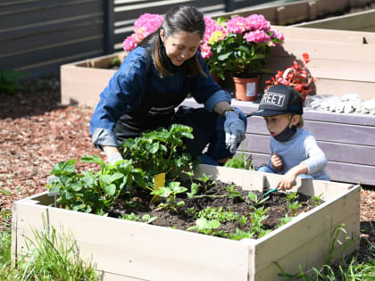 В Казани запускают волонтерский проект «Парковые герои»