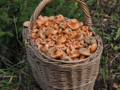 Новые вызовы для здоровья в городе