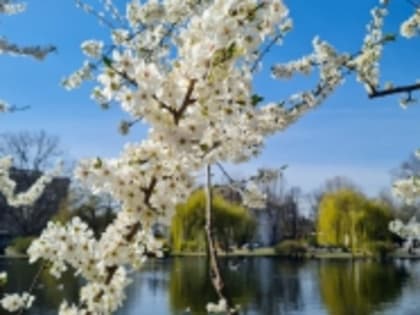 В Татарстане на выходных ожидается до 18 градусов тепла