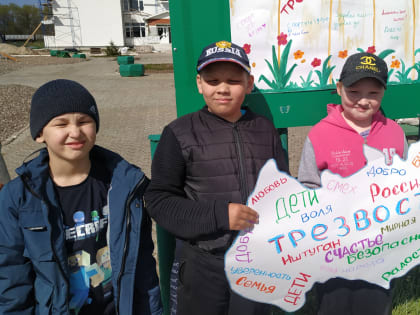 Акция «Забор трезвости»