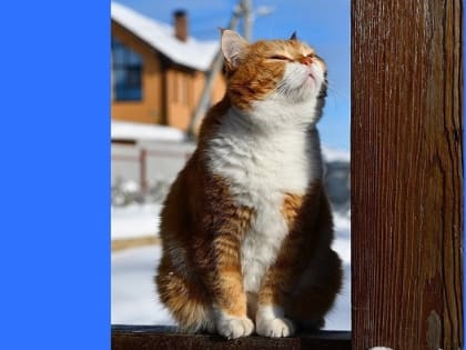 Завершение рабочей недели порадует Татарстан 5-градусным теплом